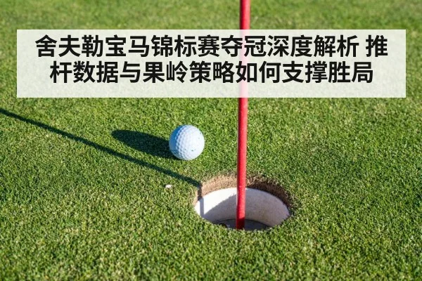 舍夫勒宝马锦标赛夺冠深度解析 推杆数据与果岭策略如何支撑胜局