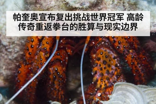 帕奎奥宣布复出挑战世界冠军 高龄传奇重返拳台的胜算与现实边界